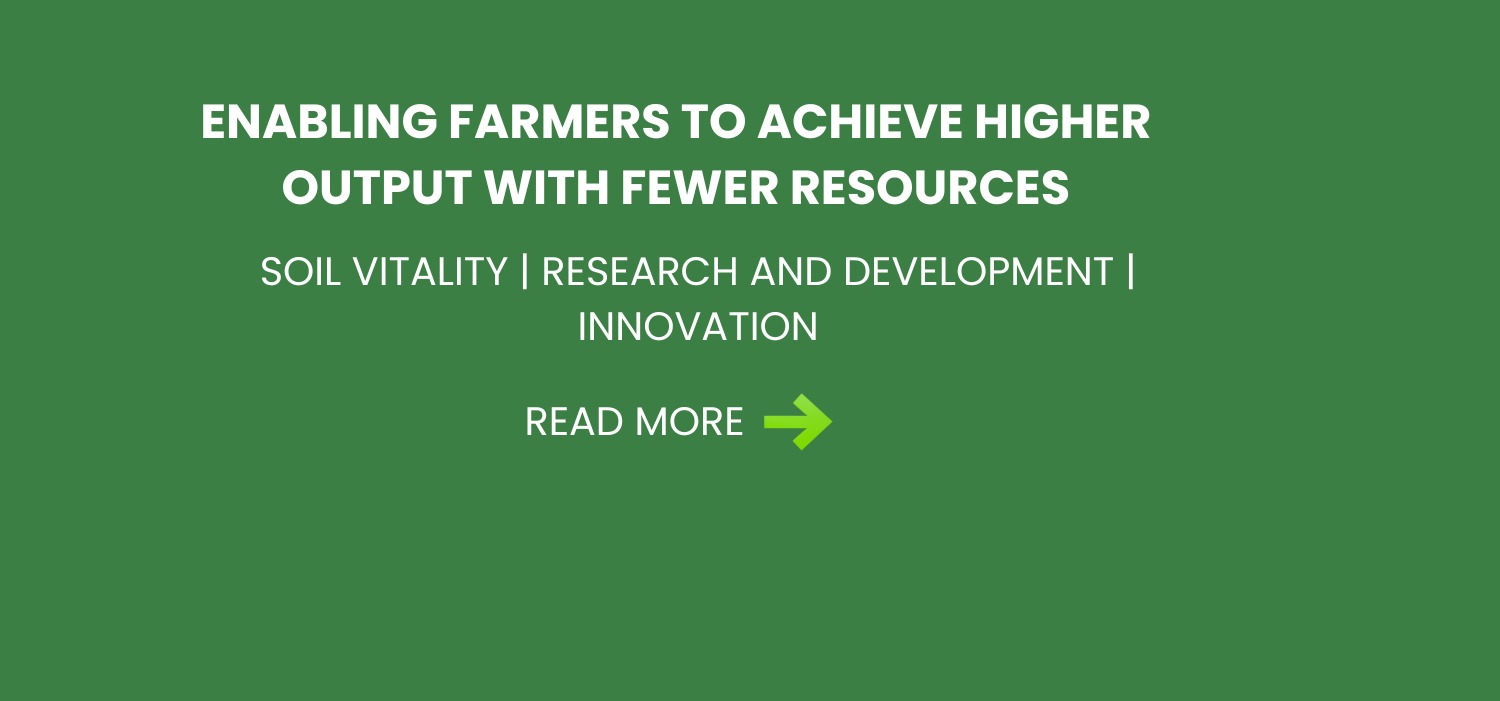 WhatsApp Image 2024-10-19 at 3.33.35 PM