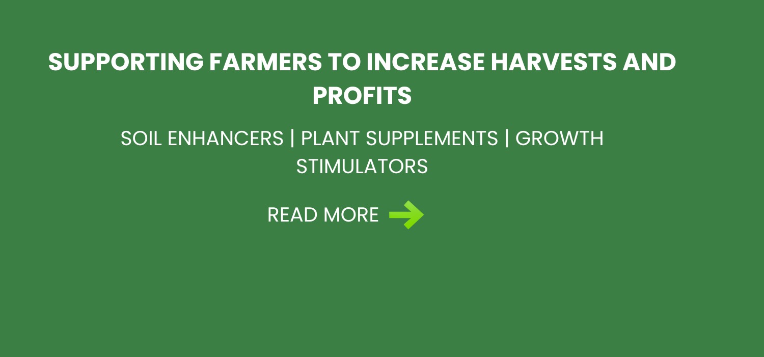 WhatsApp Image 2024-10-19 at 3.33.36 PM