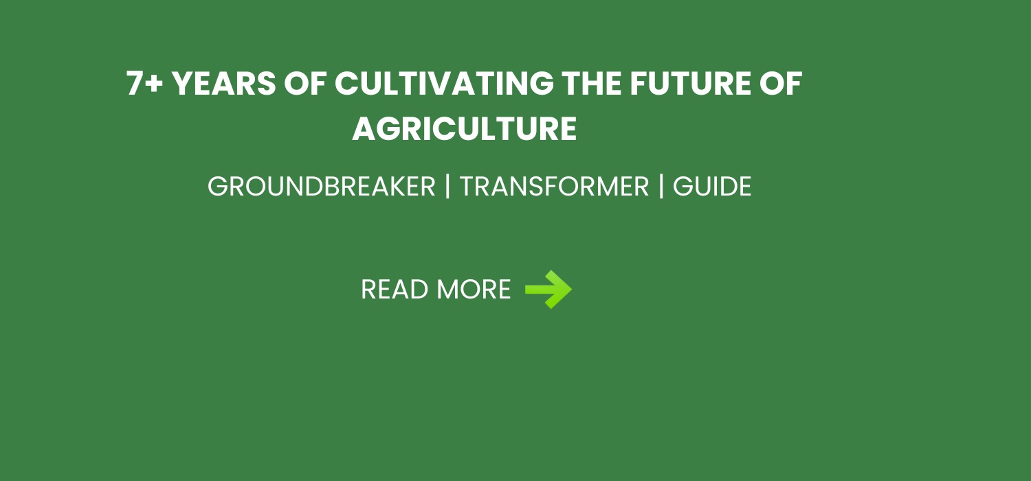 WhatsApp Image 2024-10-19 at 3.33.37 PM (1)