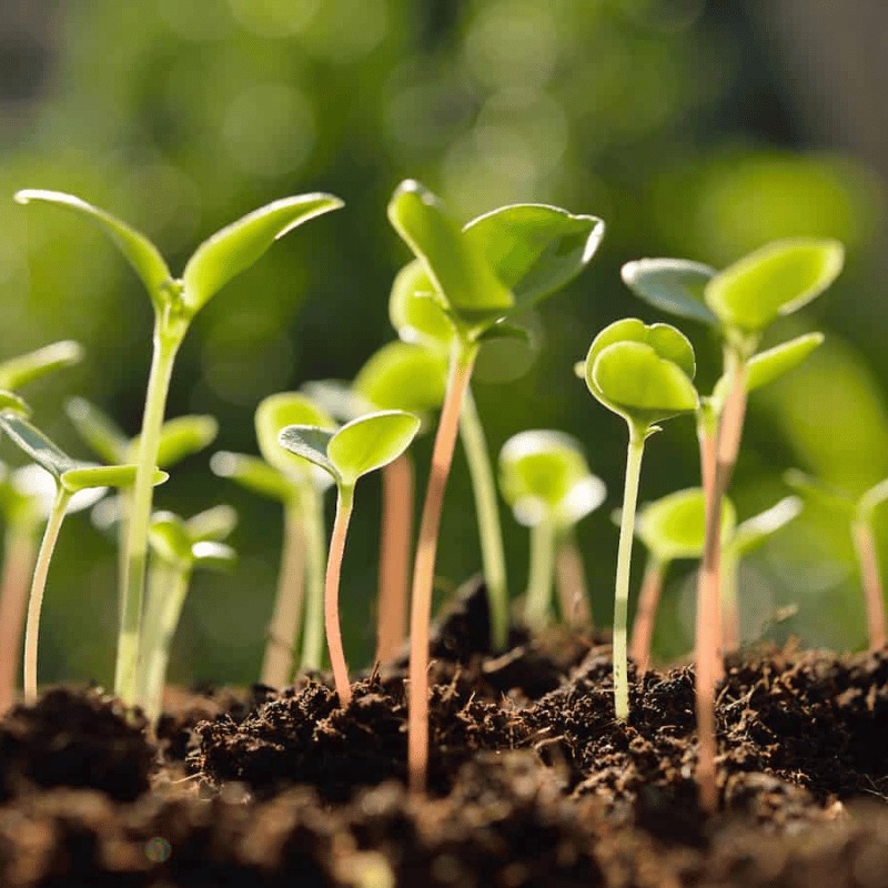 Eco%20Agripreneurs%20Private%20Limited